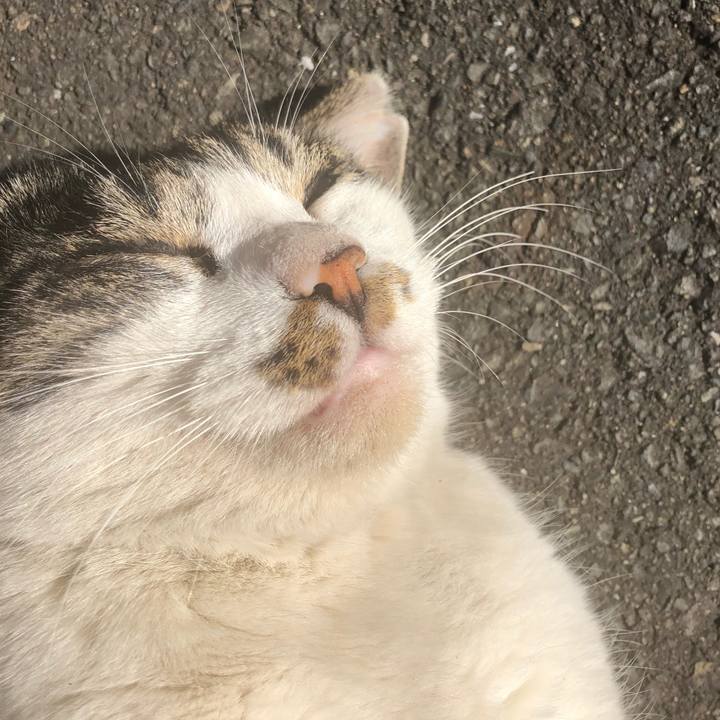 3e13c564 2eb5 4876 9a21 d82d38740451 1576493667214