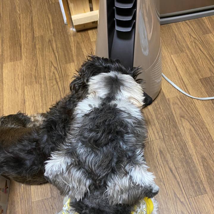 3e140cfc 238f 4fc4 beee d30afeaedb81 1574178452036