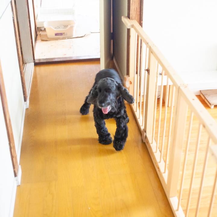 3e142ee6 911e 4eef b97f 430c86b11b2d 1593867306976