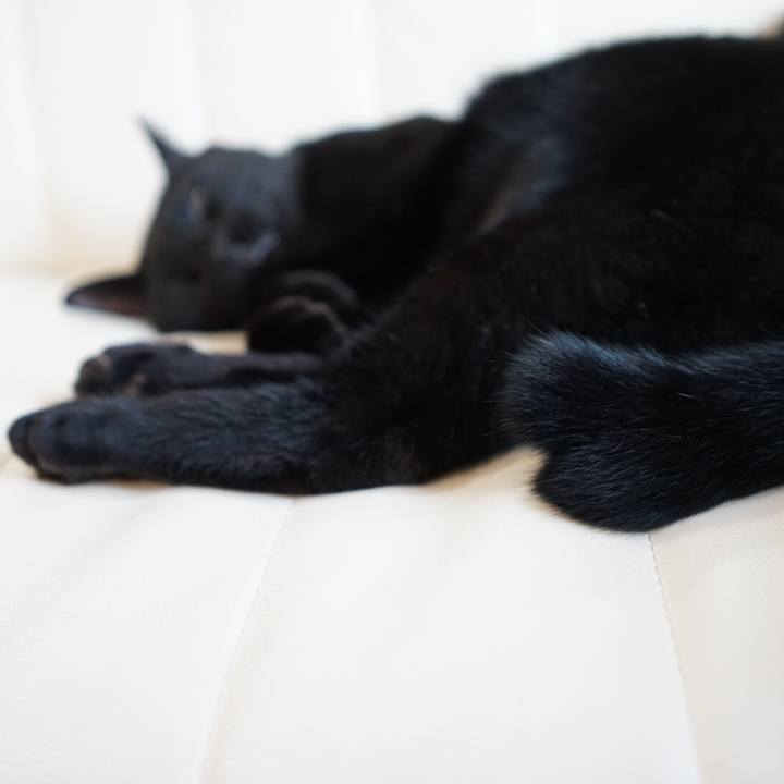 3e144f29 3c32 4a43 b455 c46c12a6fea0 1539127904518