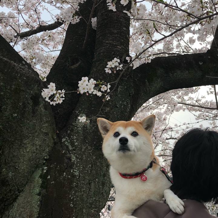 3e144f67 9502 4f02 9bcb e2be58e42db4 1617107359584