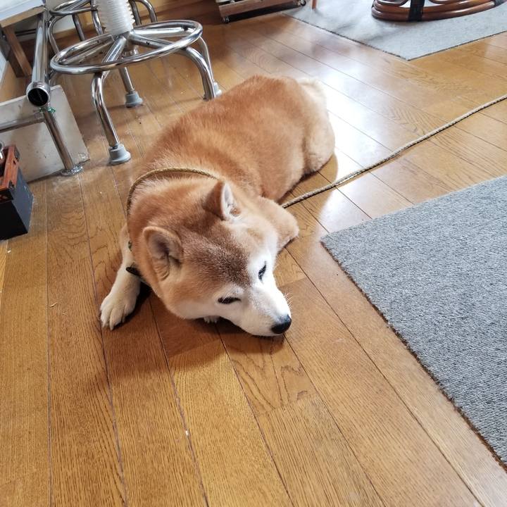 3e146372 74f9 4c2b bf77 fbdbcf600cda 1698968200544