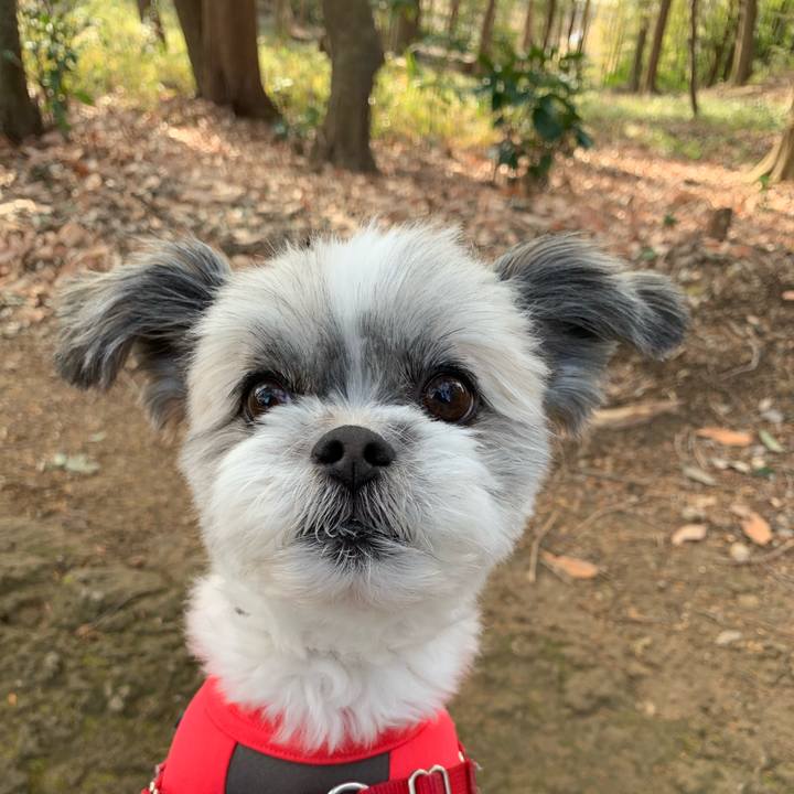 3e148fa3 b9b5 4551 850d 1a9da2225f66 1579236527224