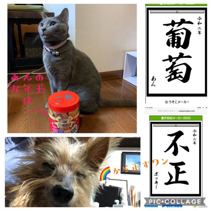 3e14995a 2b41 4617 a0fb 931f23d55b87 1577963048001