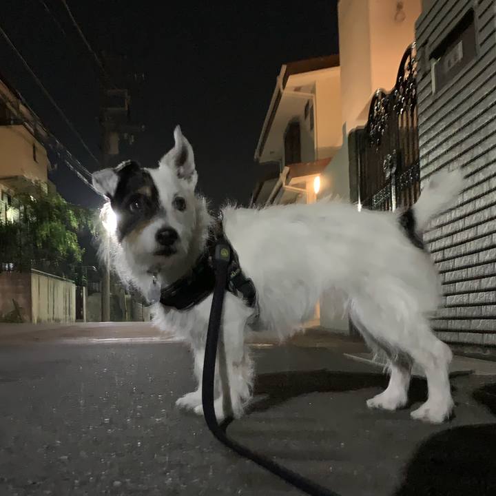 3e14a24c 43bc 4127 96ad cfd6230ef154 1720010521979