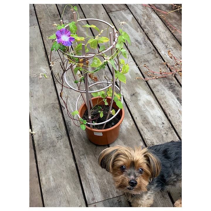 3e14c475 fe81 4658 ad51 5373fda2e805 1635310812712