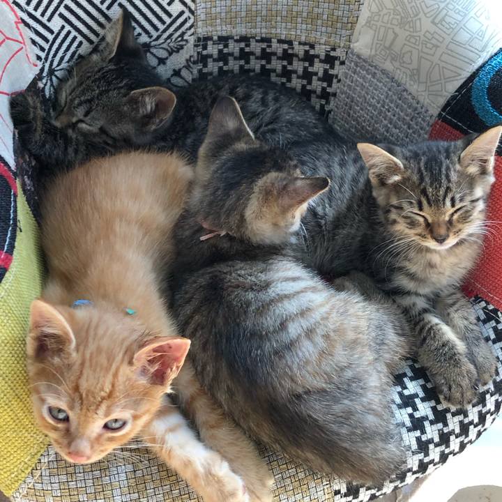 3e14e1bf 080e 40c0 a1a3 c23dfc74be17 1628693567386