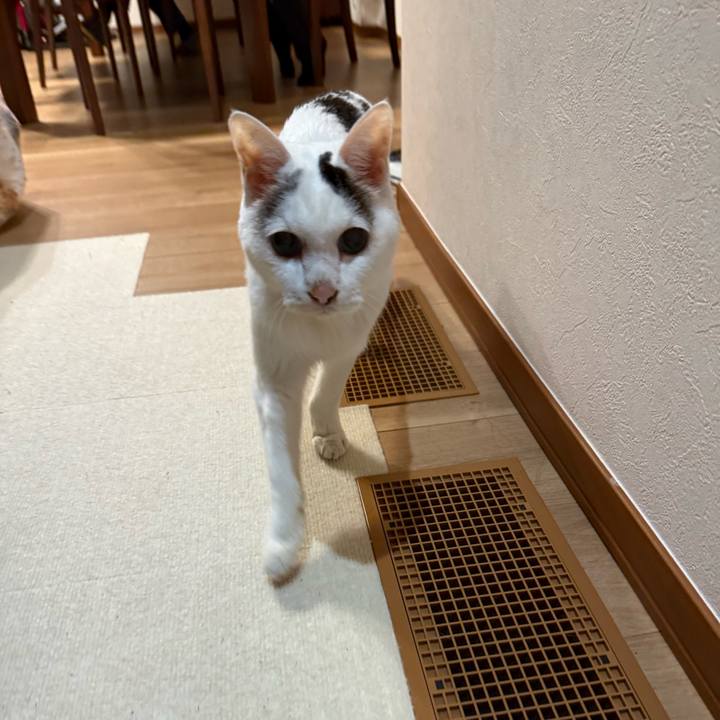 3e154a9f 4fe6 40d0 a6f7 d09417c45ca8 1767428961993