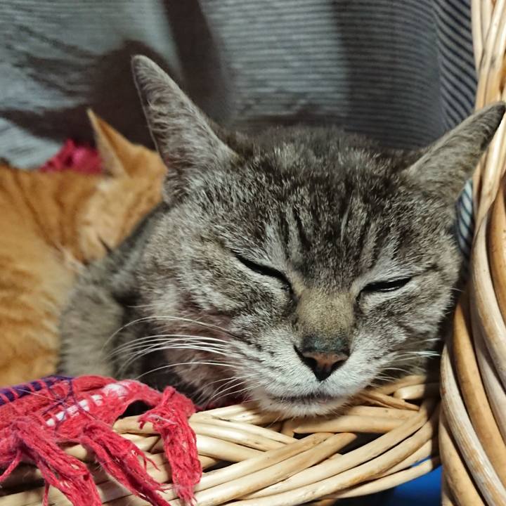 3e157999 2228 4d9c a1dc e755dff3f00a 1558214919874