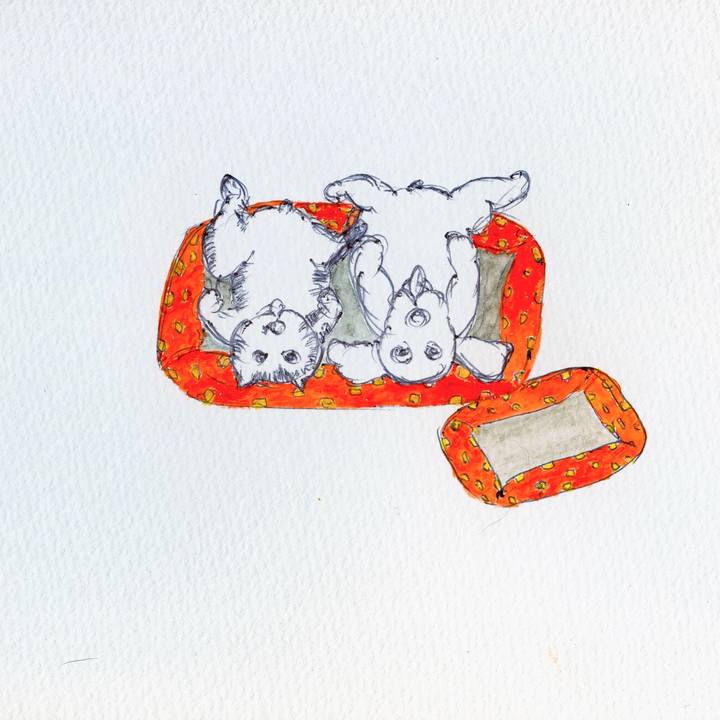 3e158a38 ab0d 4d2f 865d 6f5c919110be 1601644797223