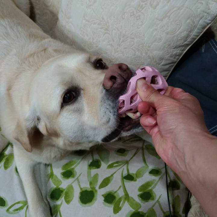 3e15b11c d3e5 4293 ba67 dbefb8e34a5e 1623065749354