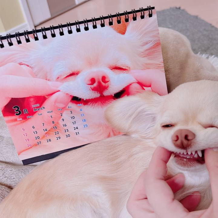 3e15f32d 2b9b 4919 9b65 f9d2a29e3322 1677639026815