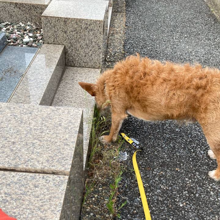 3e1606cb 7320 4527 8827 8b2fc5686743 1715781929730