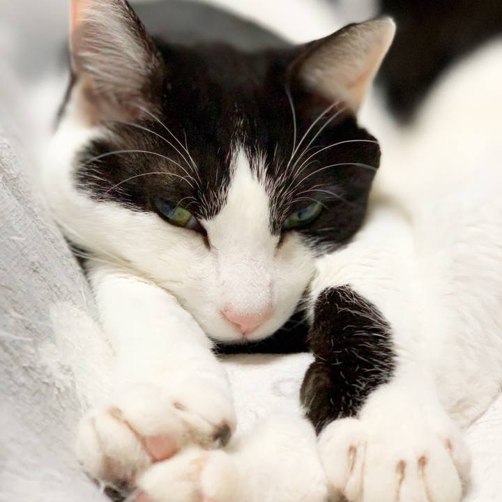 3e162e15 0a2d 4116 83e9 28150ef35a1f 1582334139303