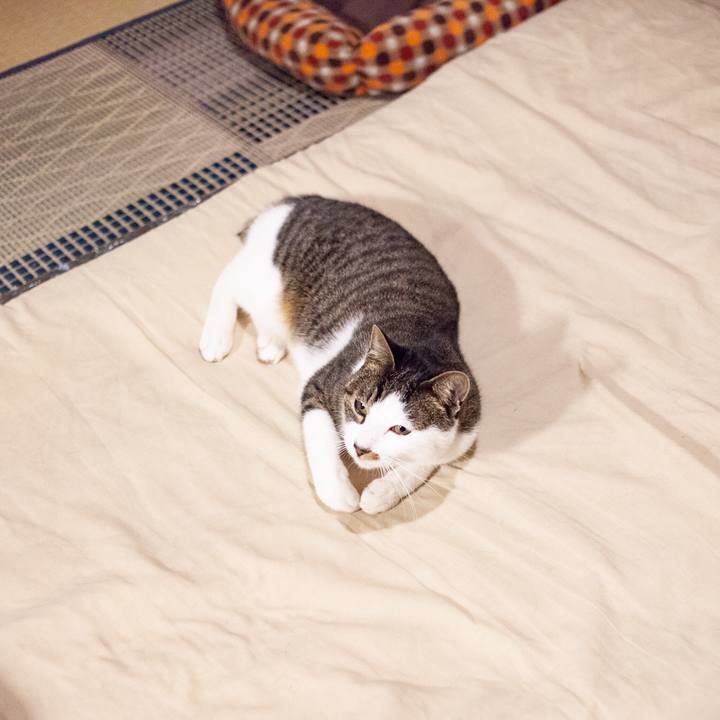 3e165a02 5417 4514 b13e 999c369313b2 1549644470131