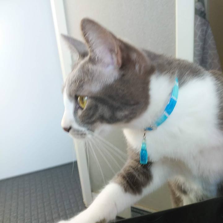 3e169f98 b1f1 44e7 9fc1 3f3f90345ab5 1618908667851