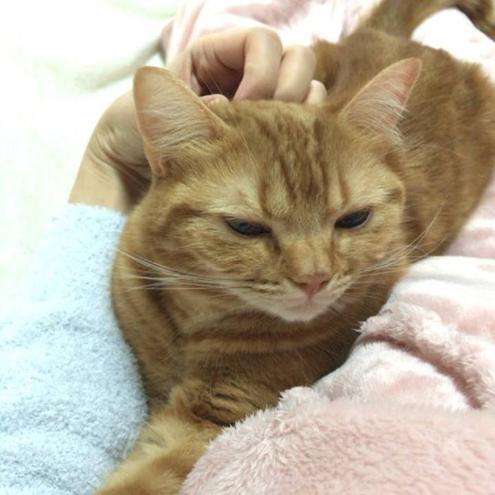 3e16abe6 8a58 4f57 937c d43489d031c0 1550442751231