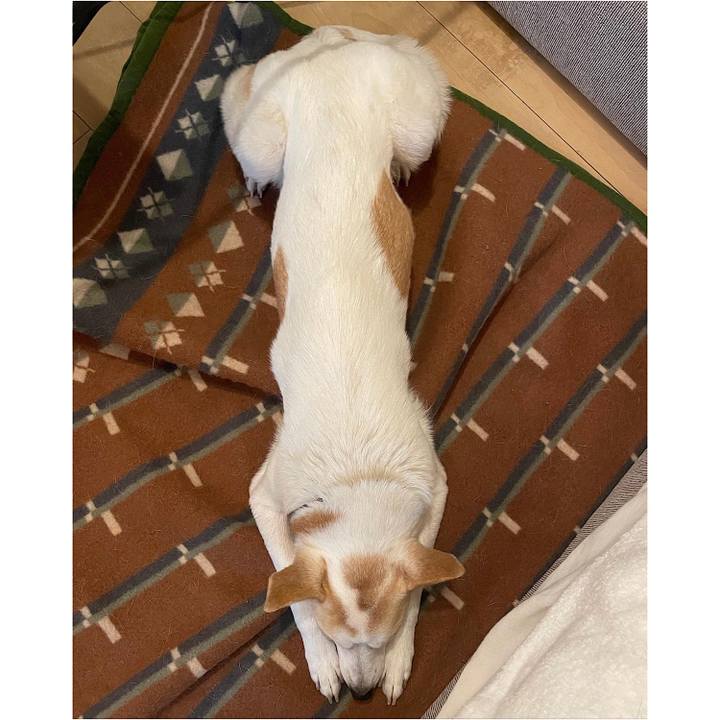 3e16aed8 eb58 4480 ad3d 916c36683dcb 1670498595656