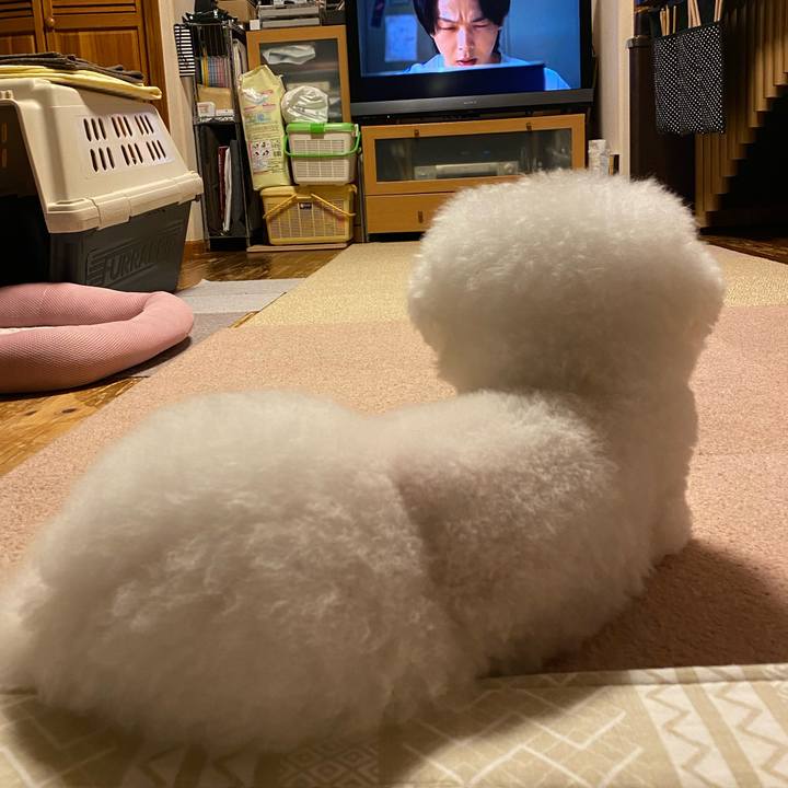 3e16b9de 2169 4988 bf67 a93ff4f87ae3 1660311858082