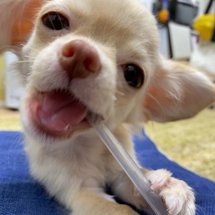 3e16d1a0 40c0 4a41 bad8 108ef45554ba 1591513990181