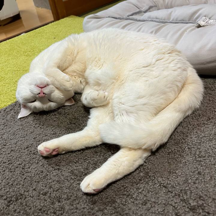 3e176bac a814 4989 ad86 3f35e75eb0f7 1710067936619