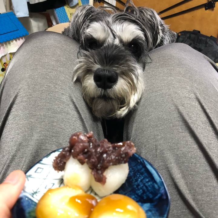 3e177718 8eac 443b 83f5 5f7248a254f7 1660983201487