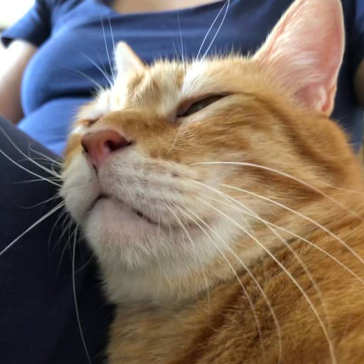 3e17a7f7 f98f 4226 90e1 b28650b6e923 1627703918462