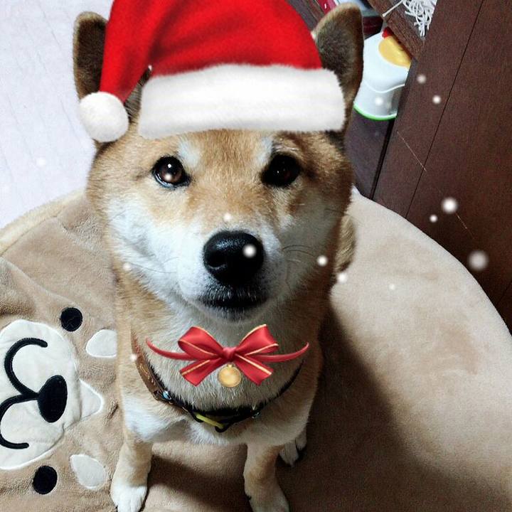 3e17c397 8231 4fa1 9aee e7bd85ae32b2 1545524325898