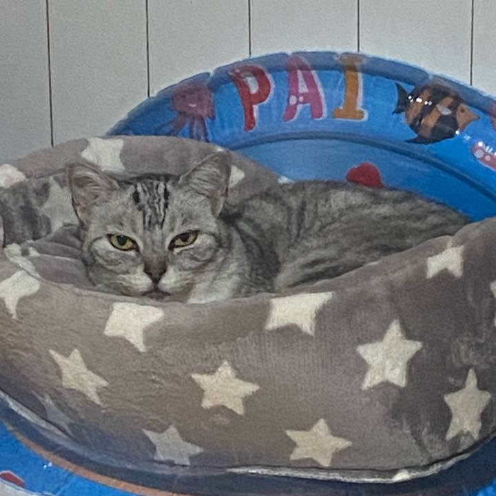 3e17c417 d98c 449d 9ac7 721d8b2dfa86 1728644258881