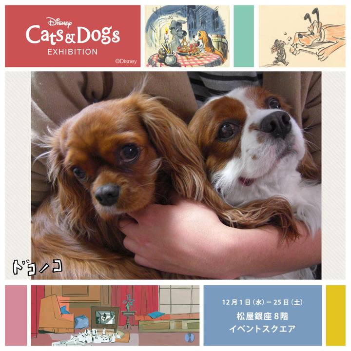 3e17f1c4 8b5a 48bb 84c0 5c3e2a101ab8 1639088727041