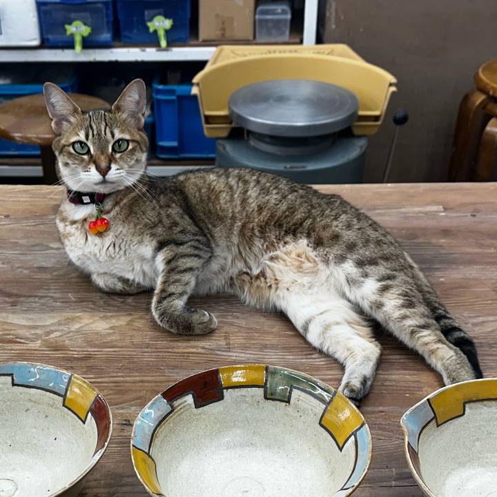 3e17f76d 3fb0 4731 a45c 564f9d03dd64 1774138884146