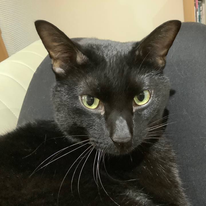 3e181c25 2c25 4974 95c5 cd2b0bb770ee 1574895335248