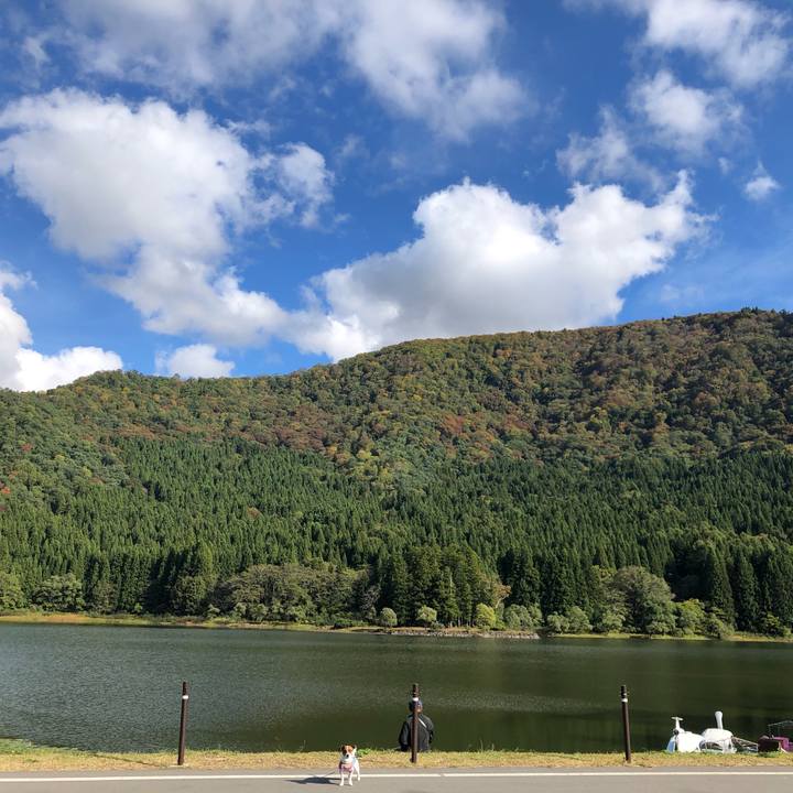 3e183500 8489 4570 adab 7d278d38d897 1571823026861