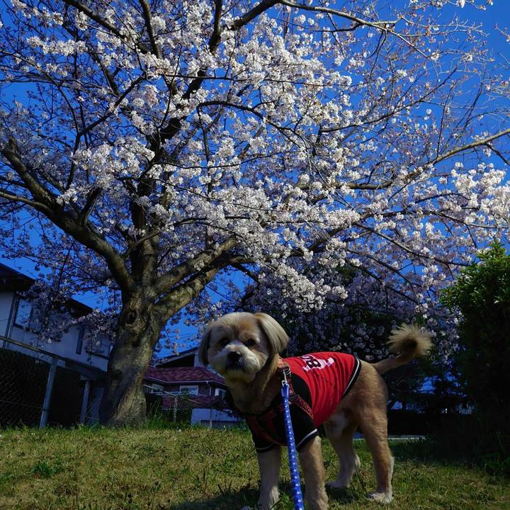 3e189524 8933 49cd 9b03 422c4458b592 1616854097791