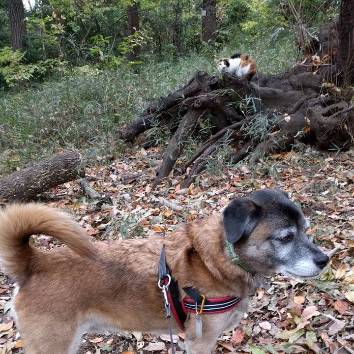 3e18ac26 89ed 4a15 a3ed 74e2356d911f 1511224606361