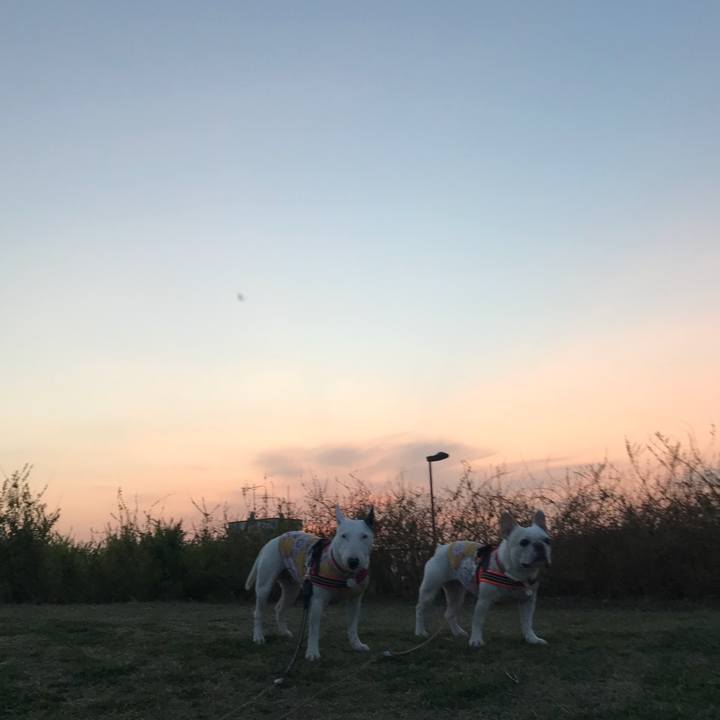 3e18ad7c 10ee 471c baeb cc3be728694b 1524054505010