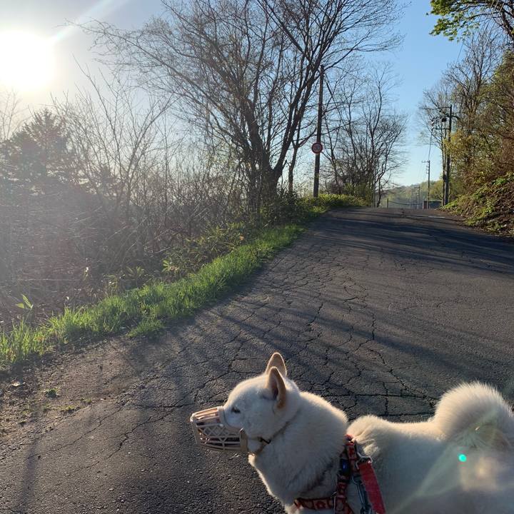 3e18d296 7671 47a3 b000 6cba9cf9edbc 1556926756620