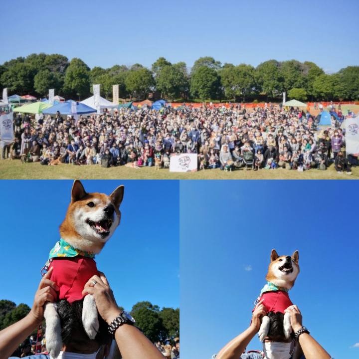 3e18d477 b0ba 488f aa9f cdb20bce37f4 1667897275713