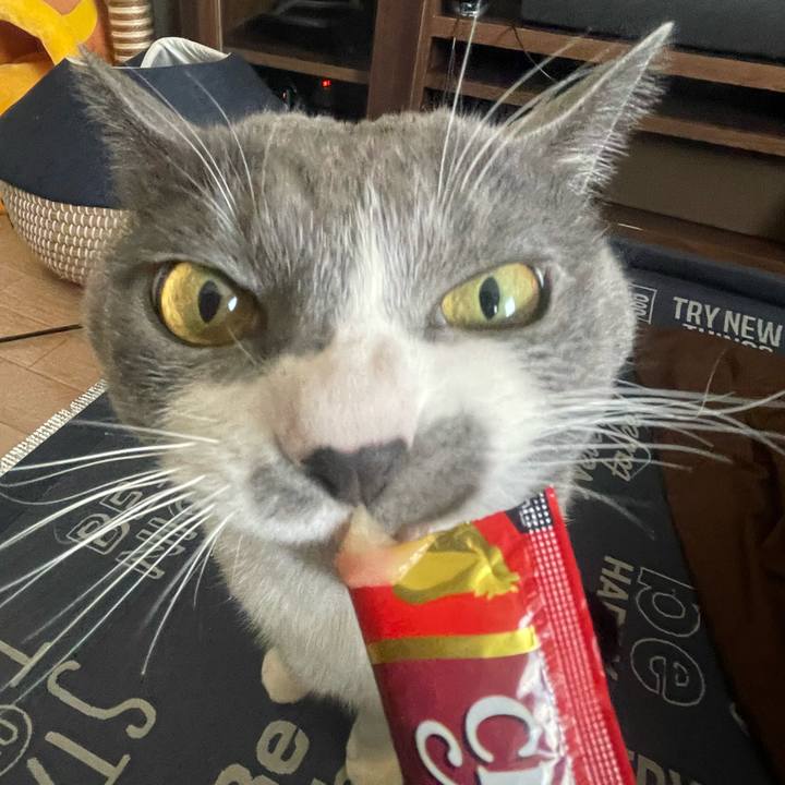 3e18f1f7 9653 4fa2 988b 33a693e0de08 1707546807045