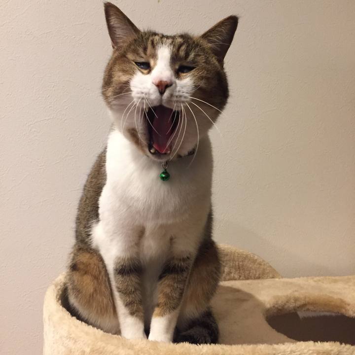 3e190945 844c 4819 92f8 5d353fcf9305 1525096596398