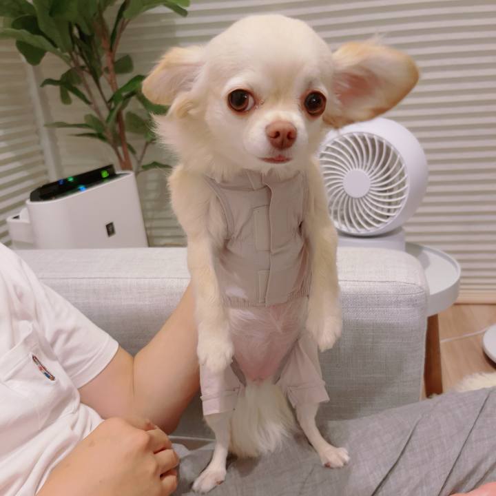 3e190eef 8d6e 43d2 8c25 1db518b70c8d 1688987598101