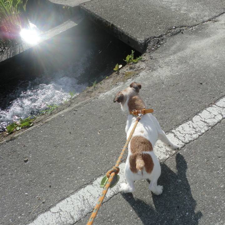 3e1916b6 05ed 4644 a305 df2d5cf5fadd 1565823539306