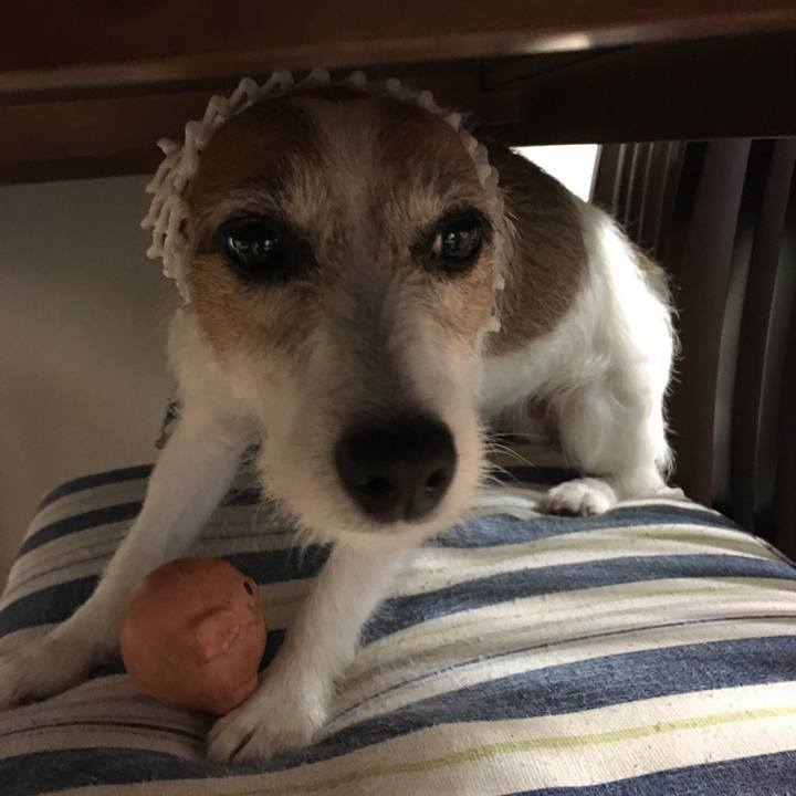 3e191fea 443f 4438 9819 229fa77c0bc4 1591140181227