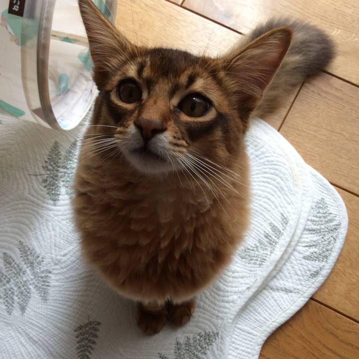 3e193671 dac9 48e8 a475 e6e174bd6839 1581903318399