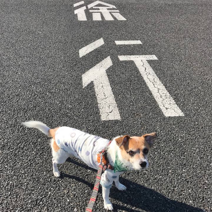 3e193ce5 3697 40d2 be85 5cf3be689583 1572936029927