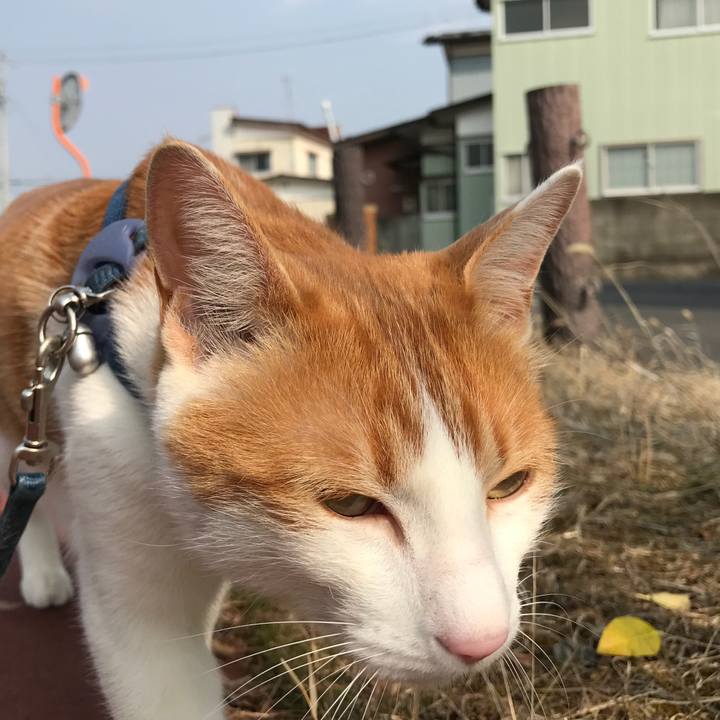 3e196e23 bd90 40e2 9ad7 6c4e59bb9839 1521003673224