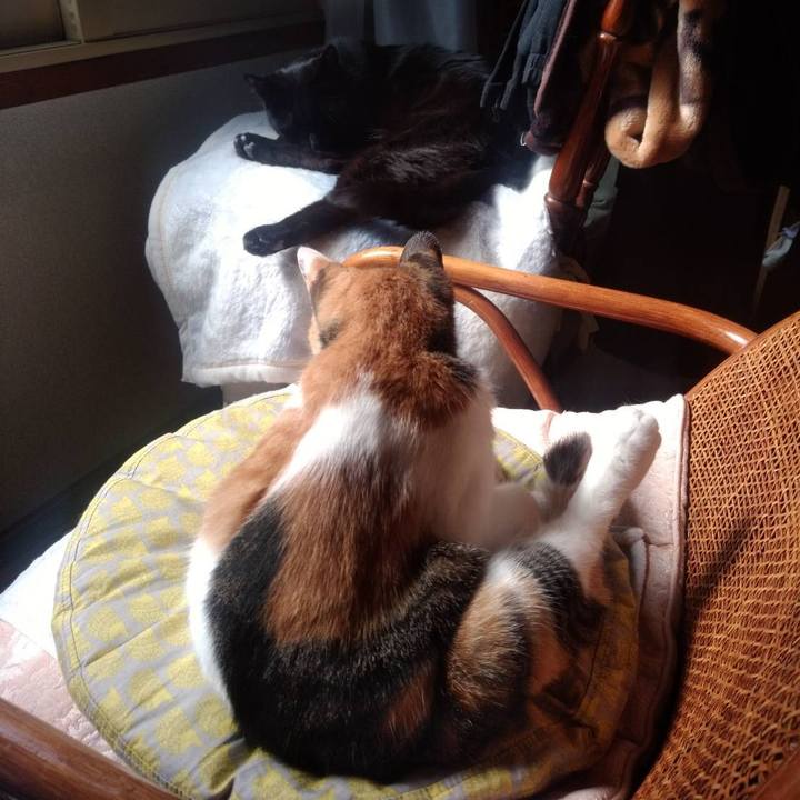 3e198497 0a2b 4ada 9935 a723a1538425 1678868891440