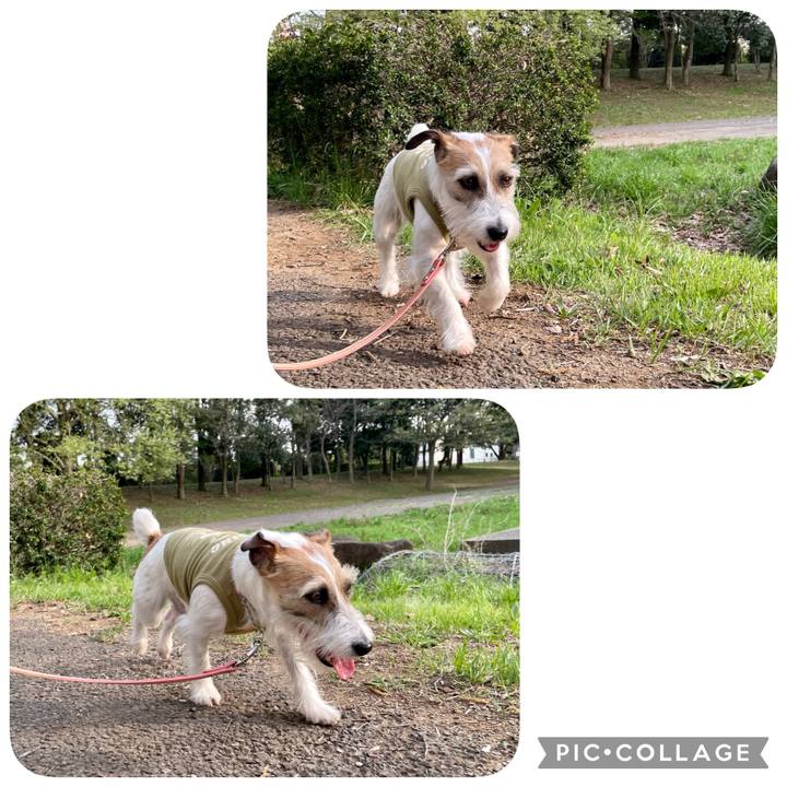 3e19b11a 5015 45e8 ba26 6b398ae2bf08 1649840289708