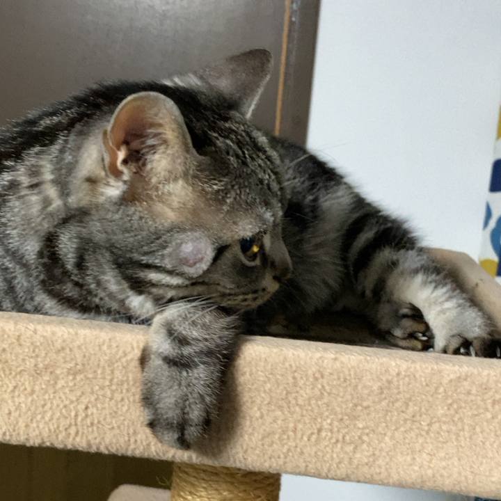 3e19d645 e2a2 45bf b68f e82a62cf7f81 1677191231186