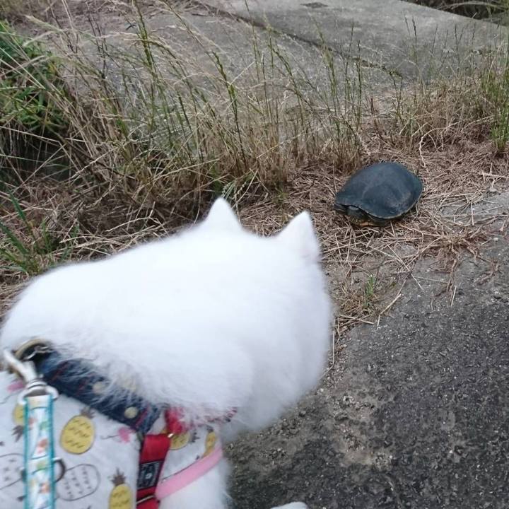 3e19df5c 6a2a 4ce1 9913 0be8f87e0073 1625393377348